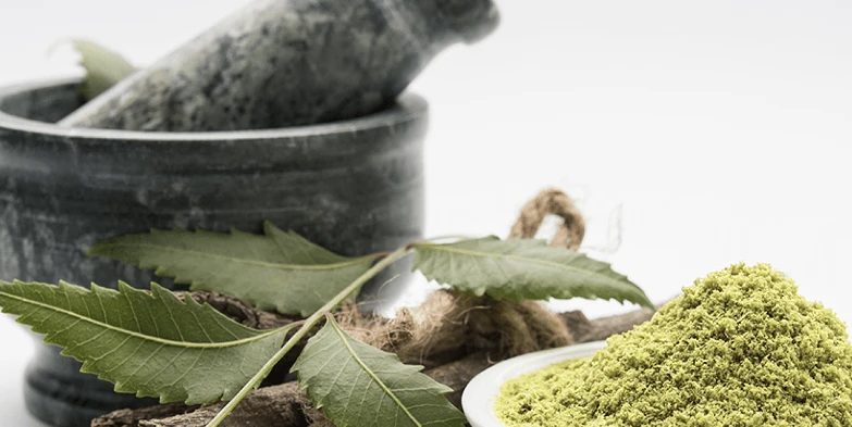 <p><span>Neem Leaf: Natural Detoxifier</span></p>